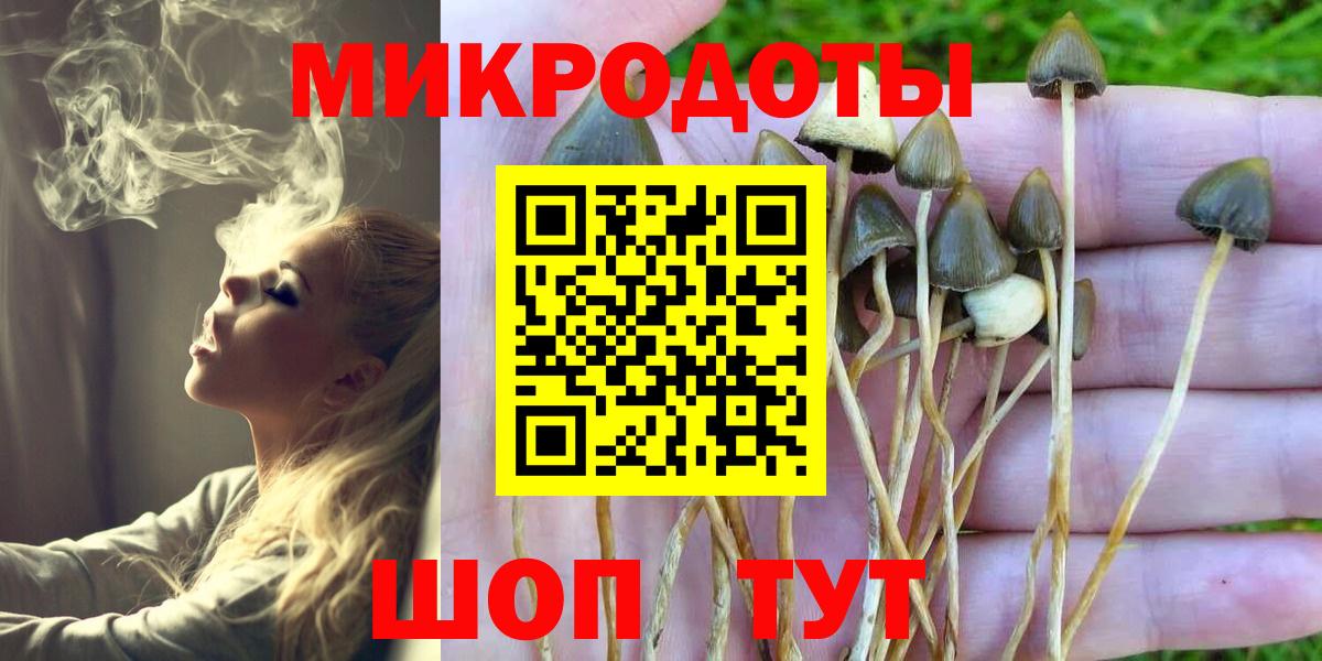 Галлюциногенные грибы MAGIC MUSHROOMS  Вход с VPN  Геленджик 