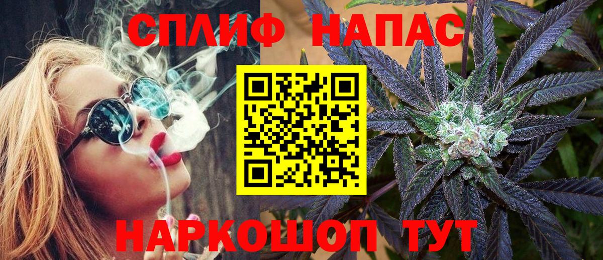 Бошки Шишки семена Геленджик